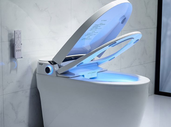 Smart Bathroom Design